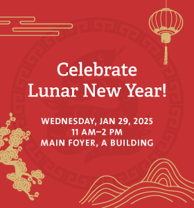 Lunar New Year 2025