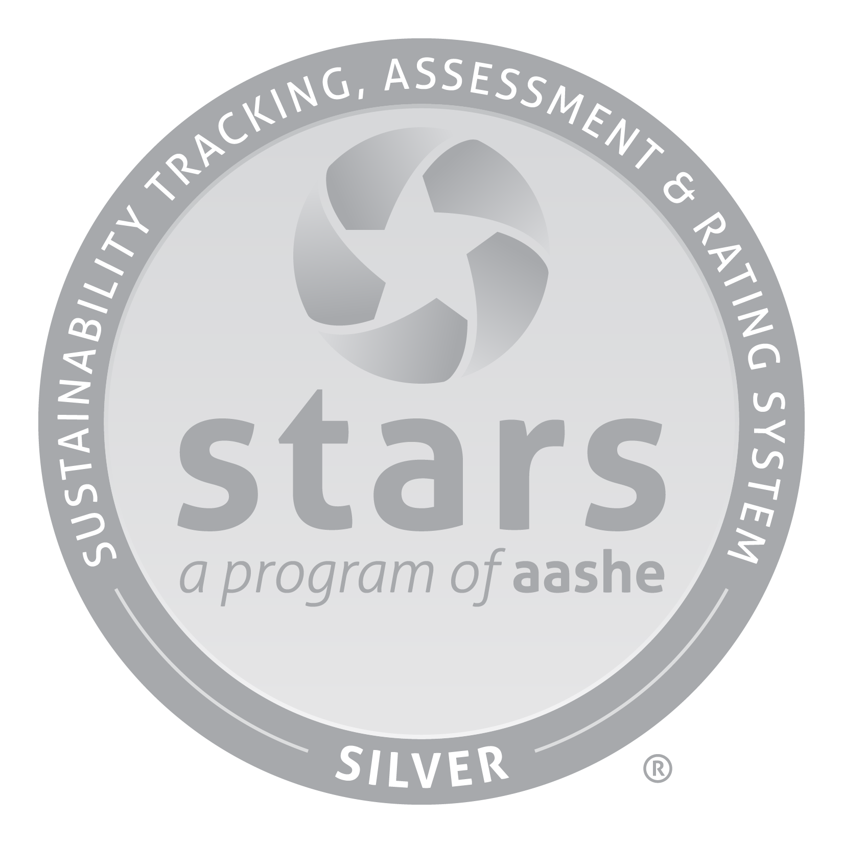silver STARS logo
