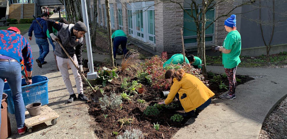 students planting on campus