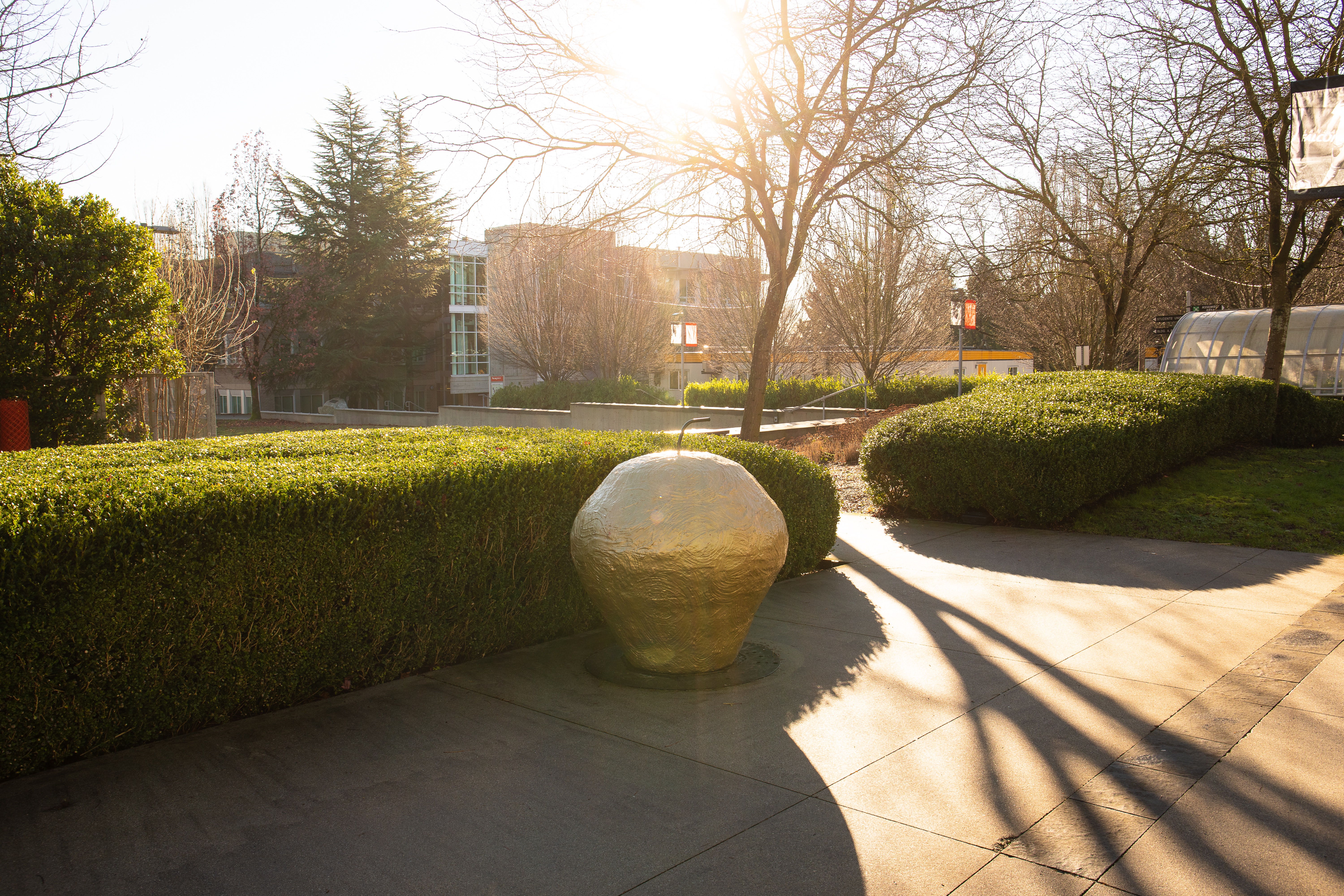 Golden Apple on Campus