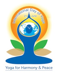 idy-logo-small