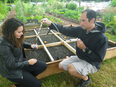 ana and marcus collect samples