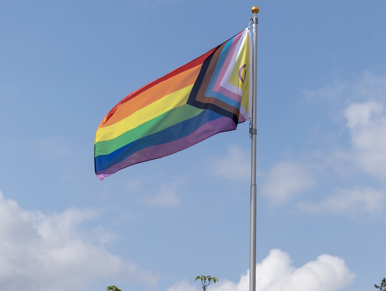 pride-flag-2024.jpg