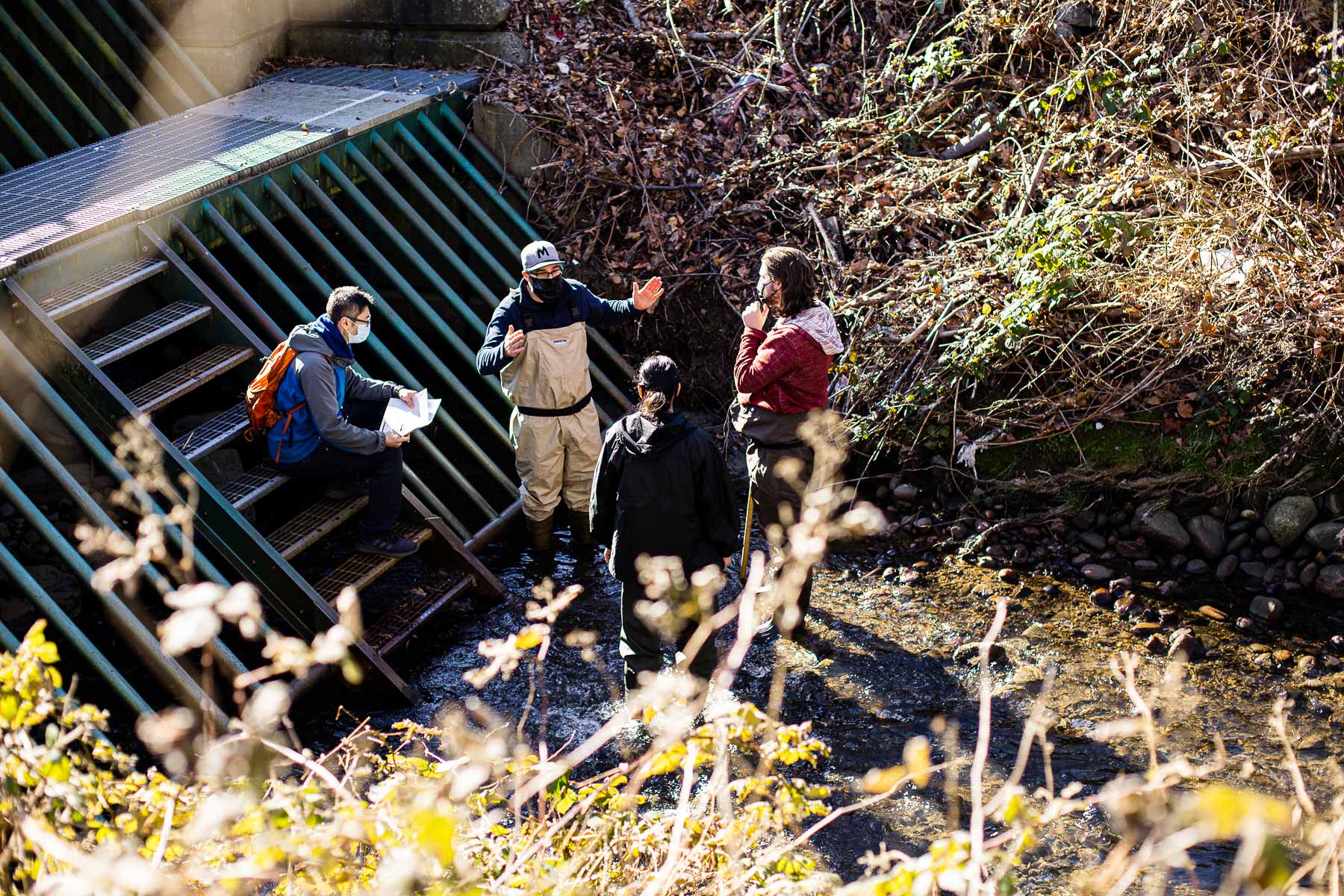 Group of students on a Still Creek