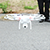 drone4.jpg