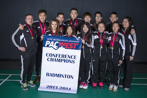 Falcons Badminton champions