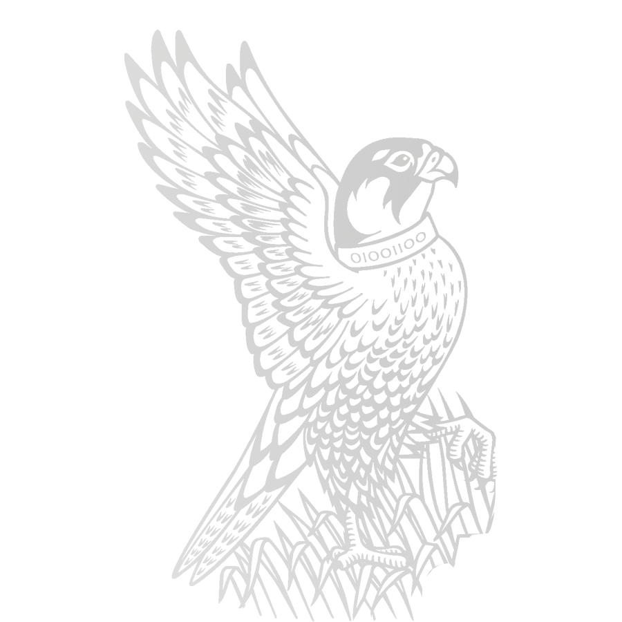 Falcon-grey.png