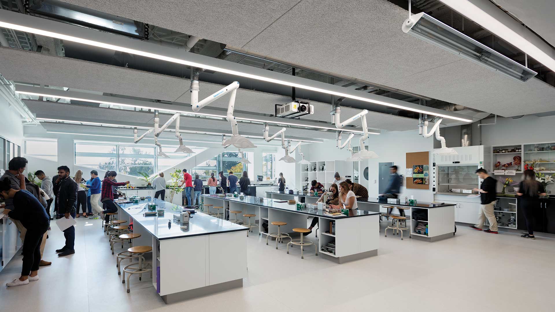 Students are working on research and experiments at the Langara College laboratory.