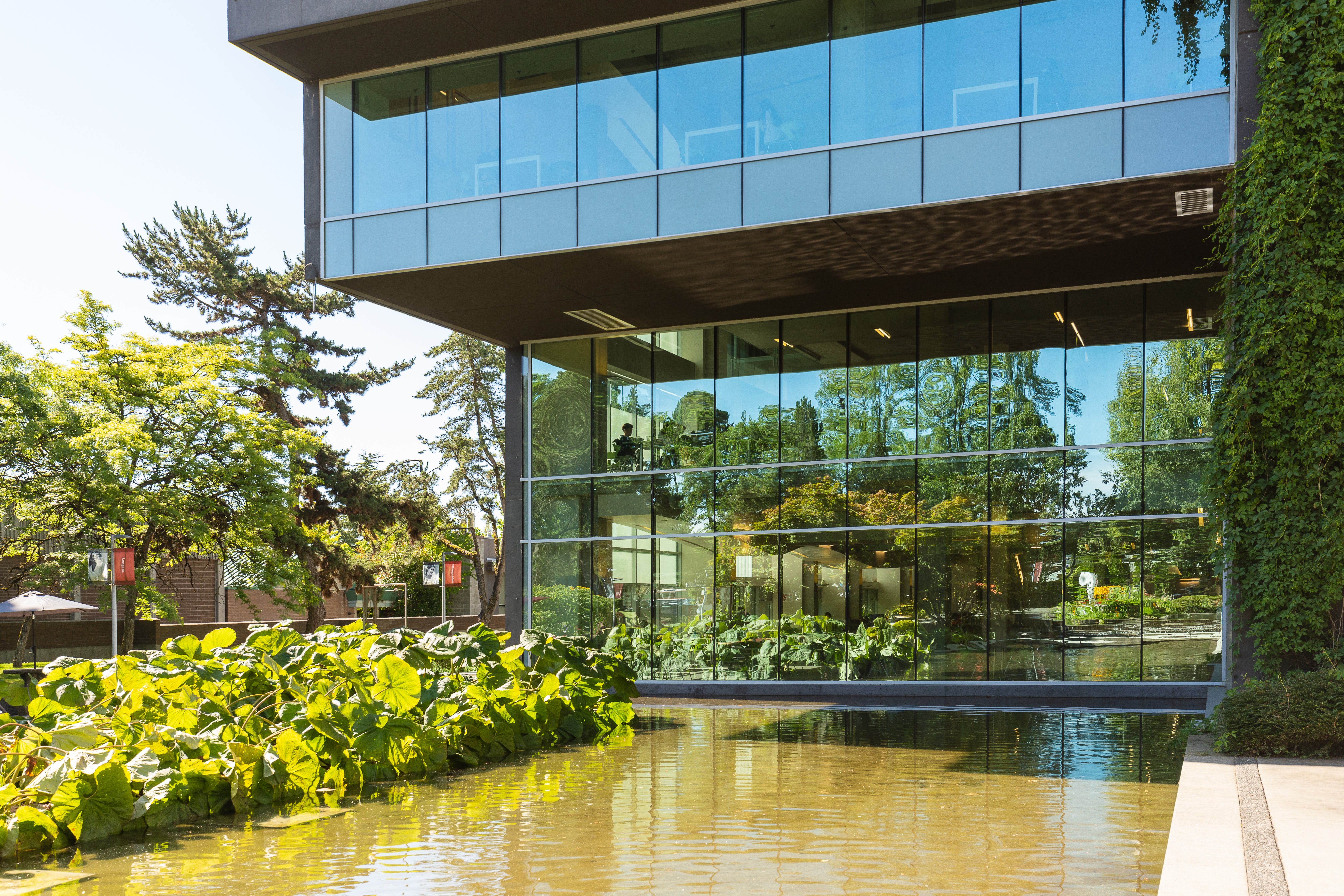 Langara Main Campus pond
