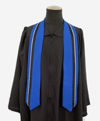 Regalia Data Analytics Stole