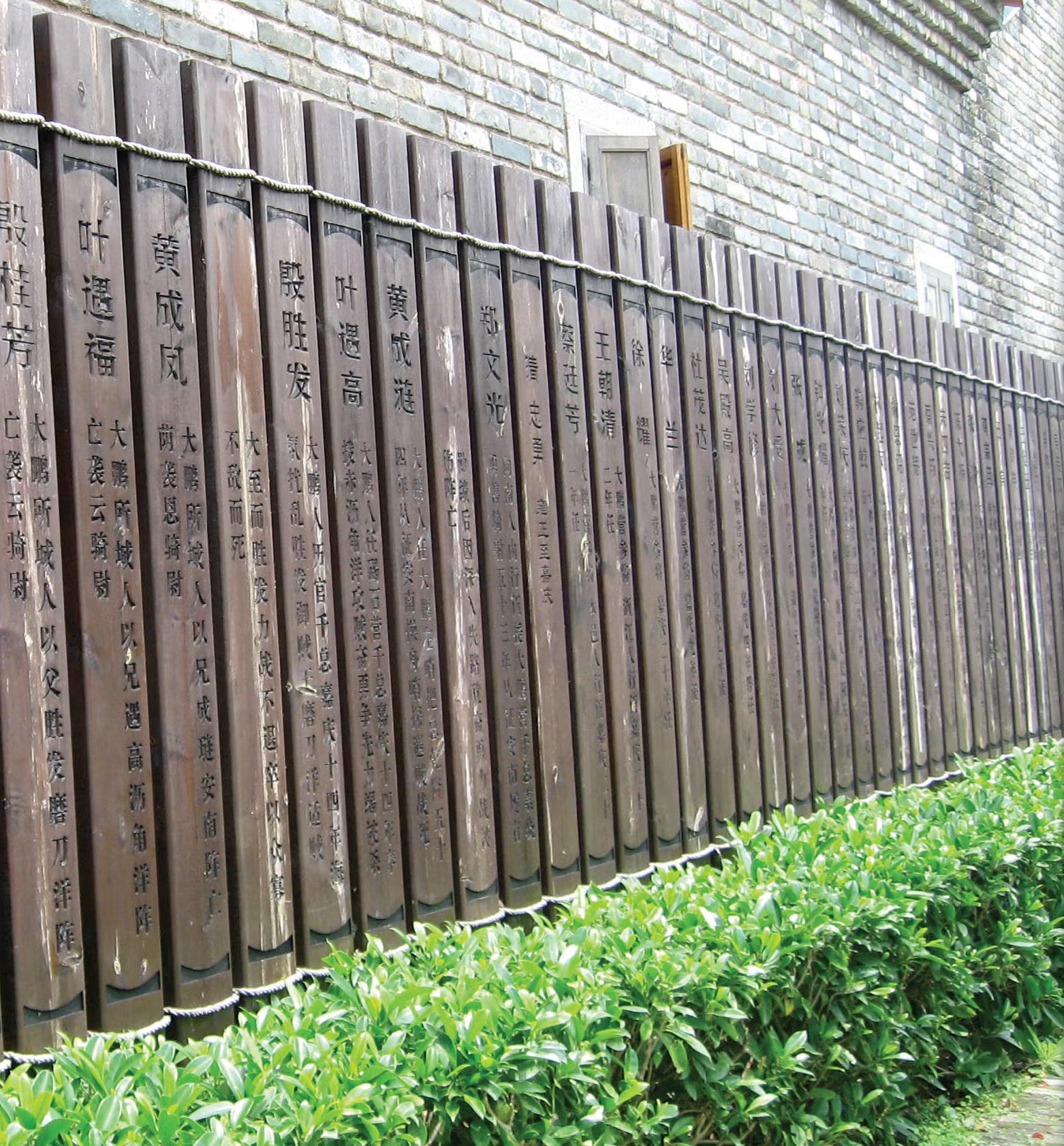 Chinese studies