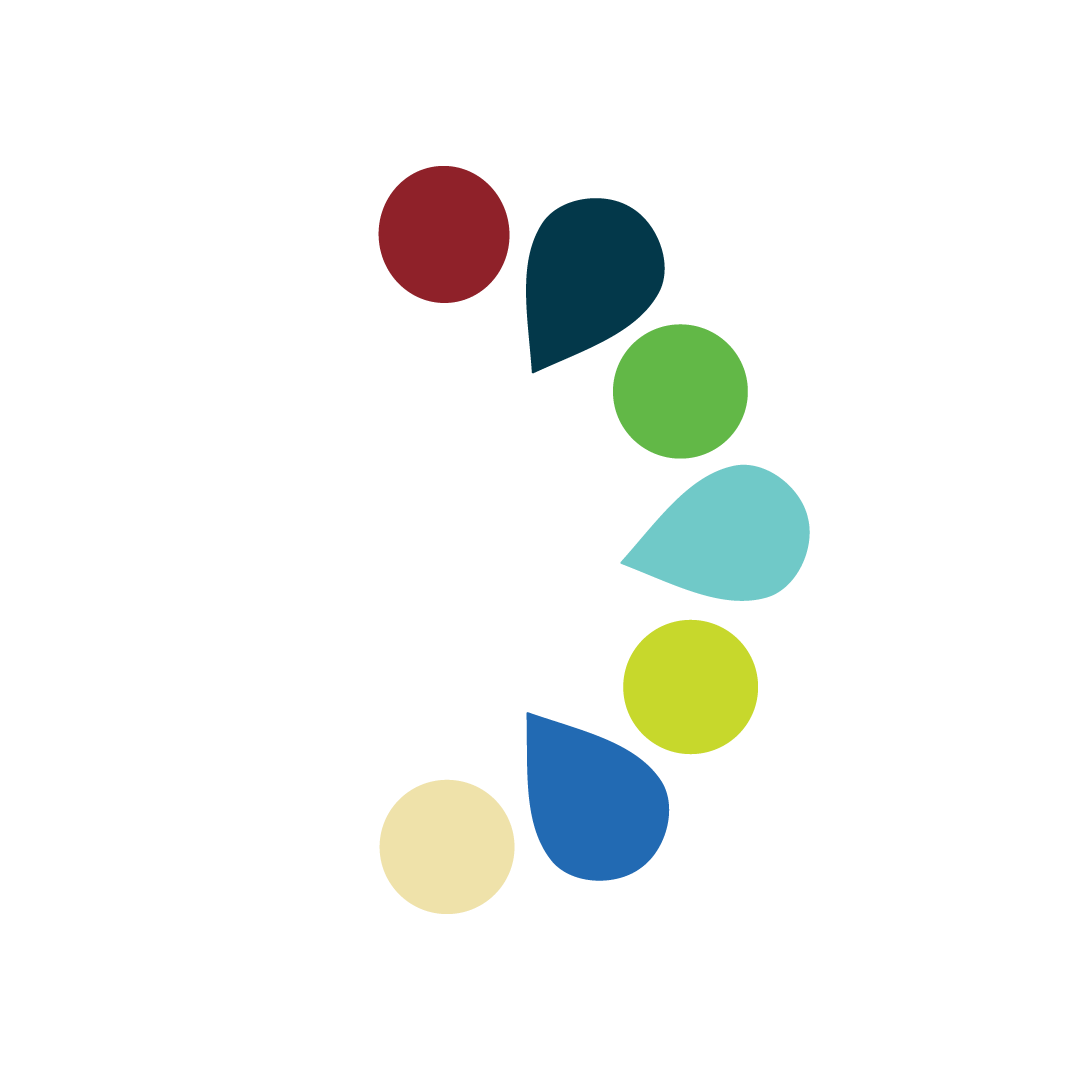 Accessibility Plan Icon