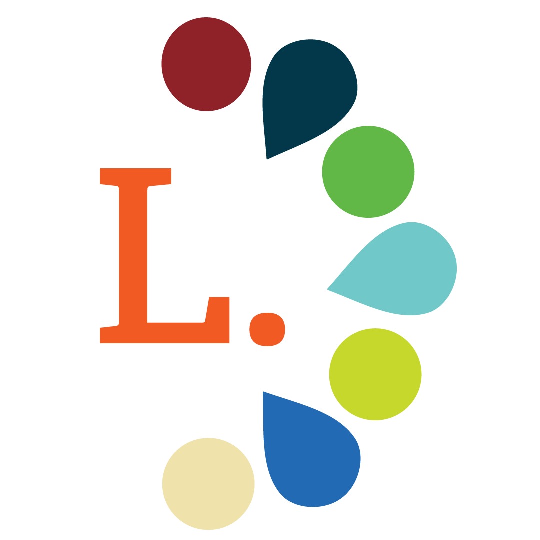 Accessibility Plan Icon