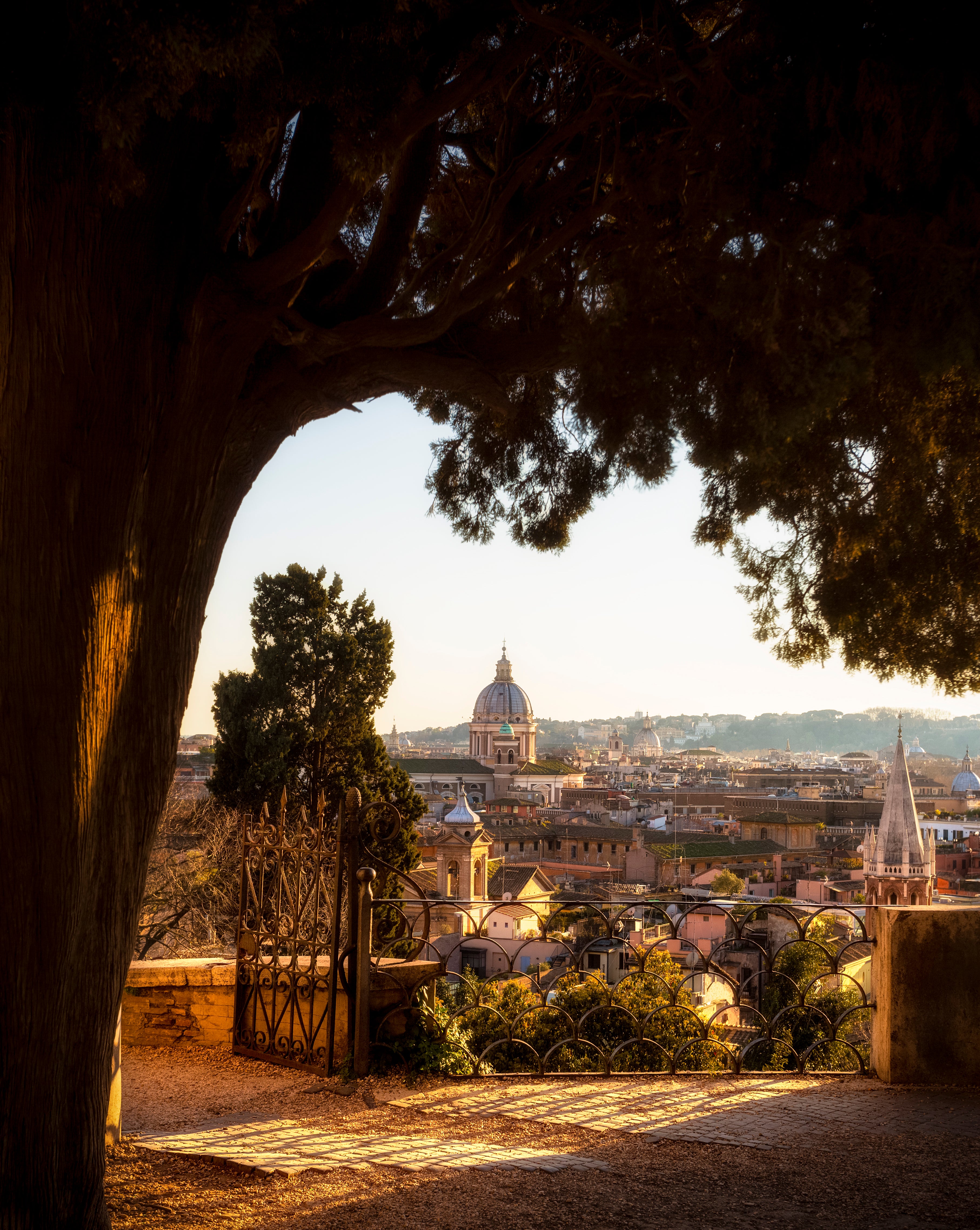 Europe Field Studies
