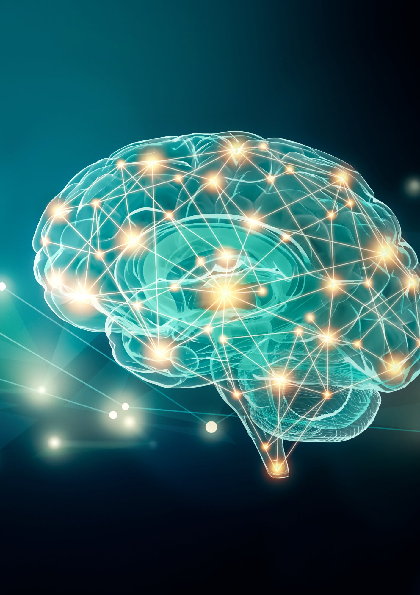 An image of a brain and pathways.