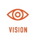 LSM Vision Statement
