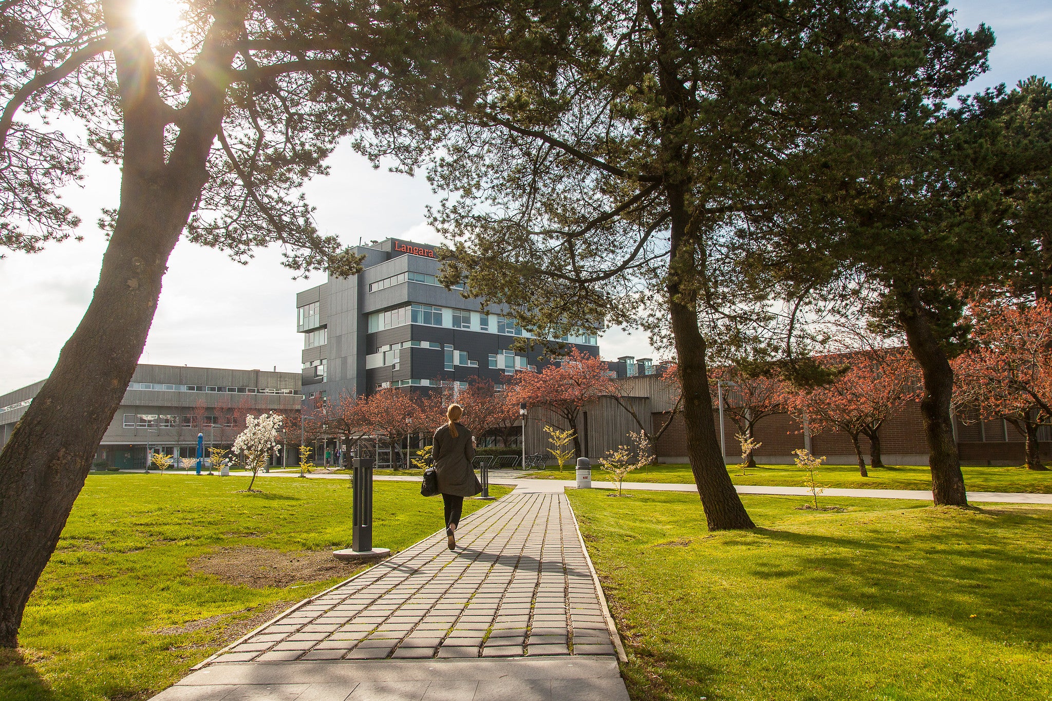 students walking on sunny campus day