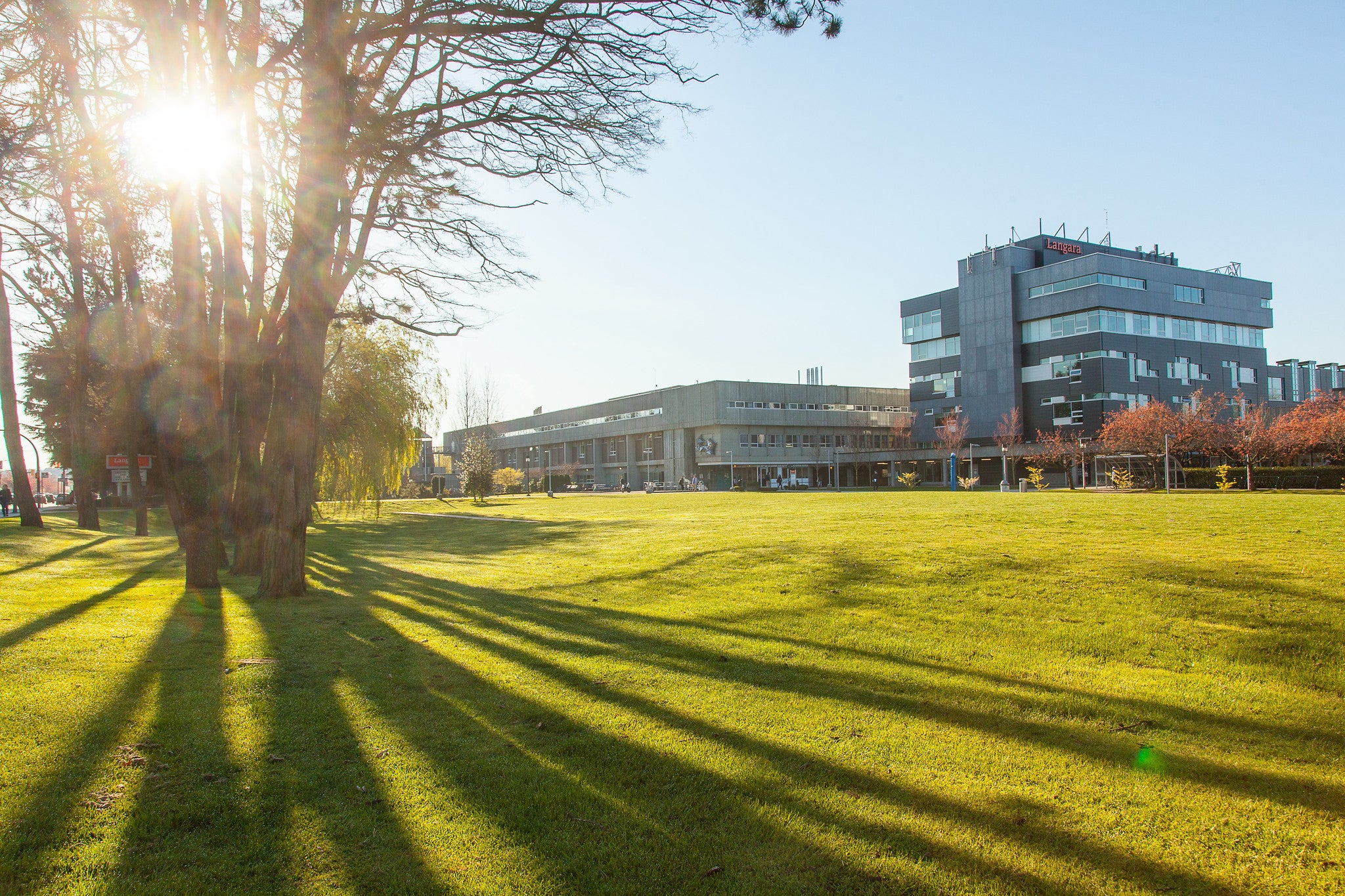 Langara Campus bathed in sunshine