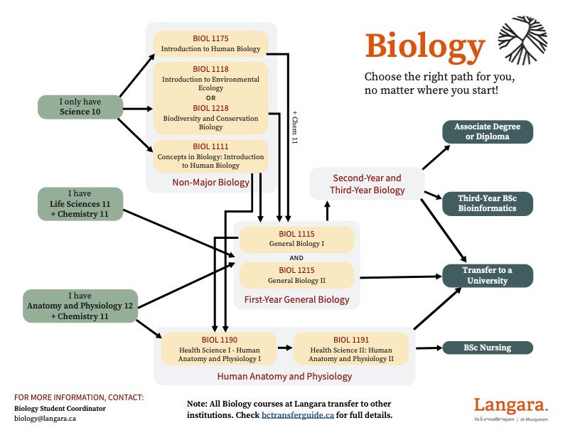 Biology Flow Chart