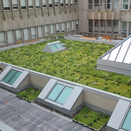The green roof on B Building is an example of Langara's sustainability initiatives.