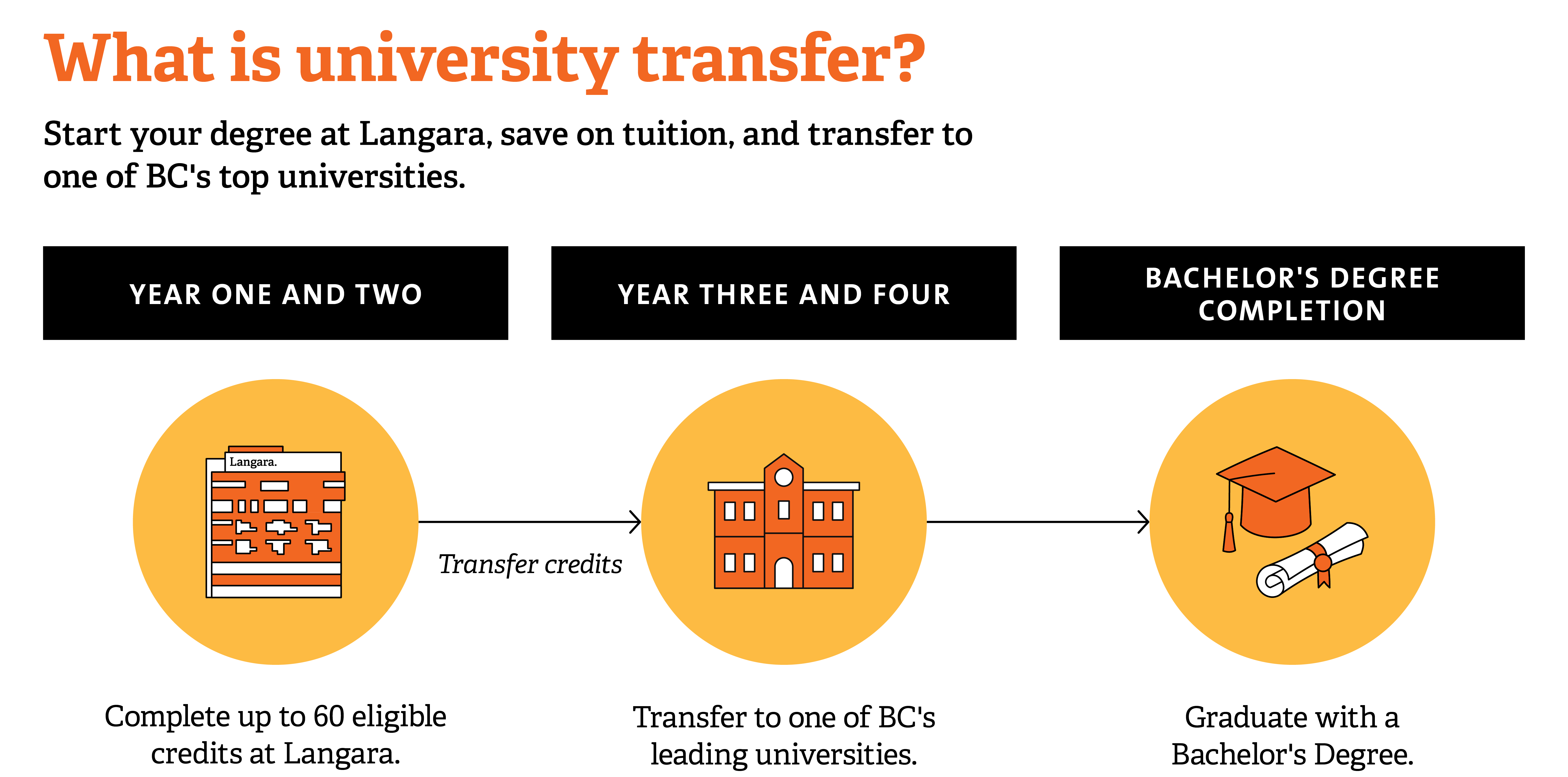 Infographic outlining how university transfer works.