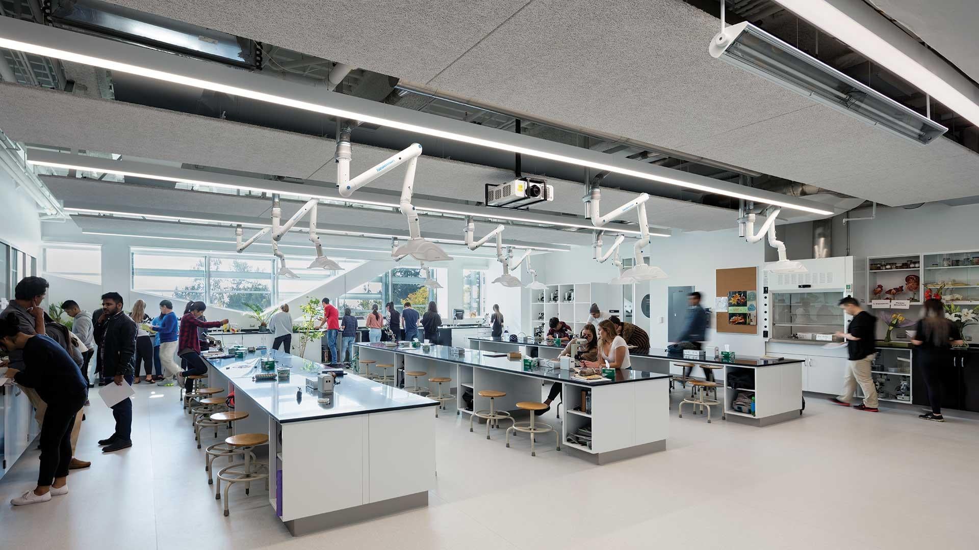 Students are working on research and experiments at the Langara College laboratory.