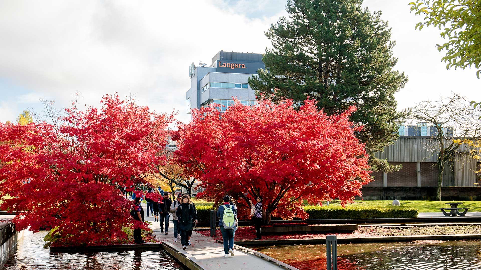 Langara campus in Autumn