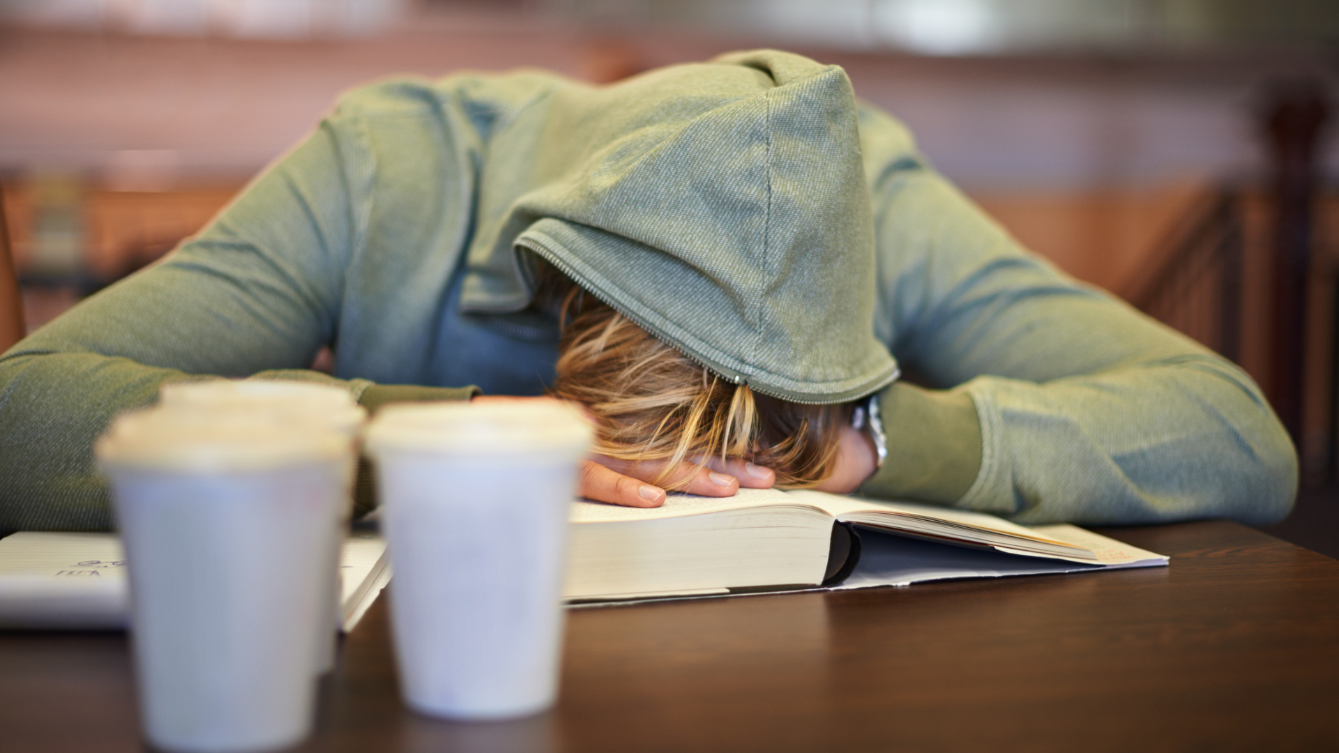 Student asleep while studying.