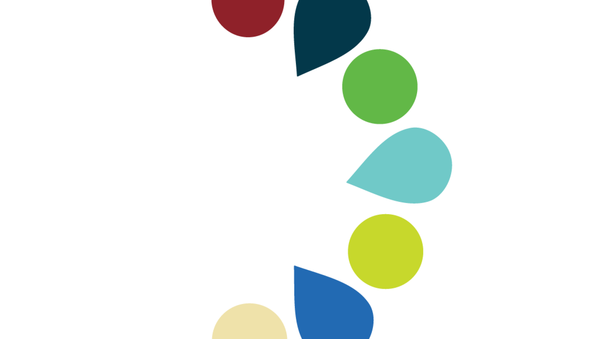 Accessibility Plan Icon