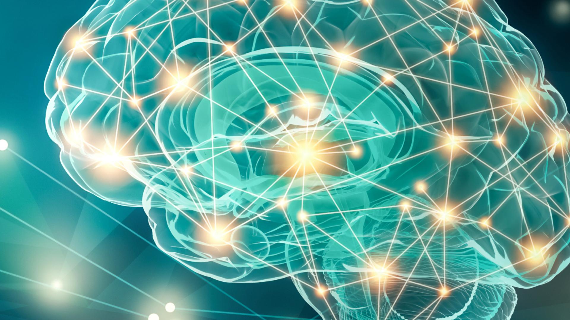 An image of a brain and pathways.