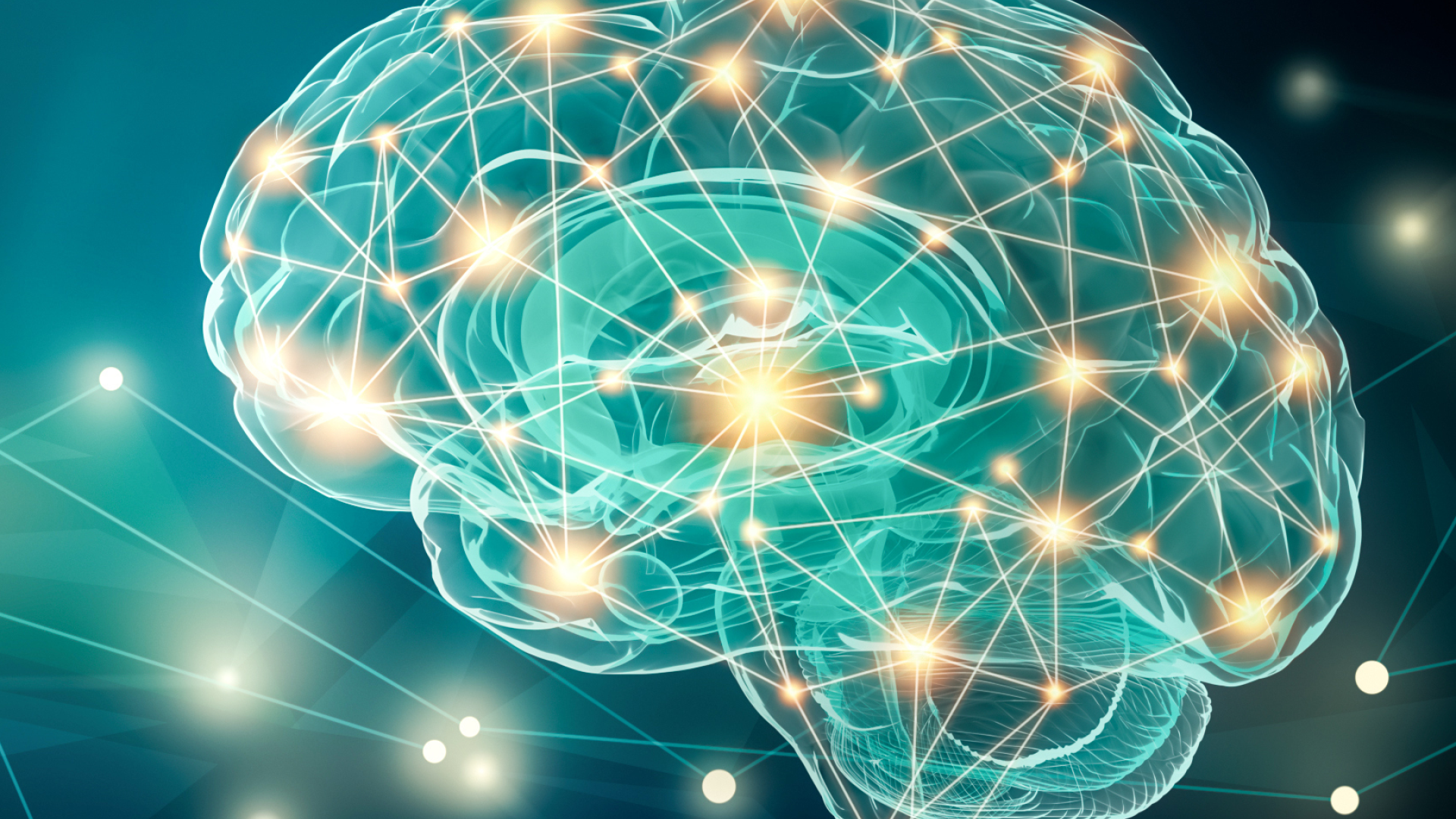 An image of the brain with neural pathways.