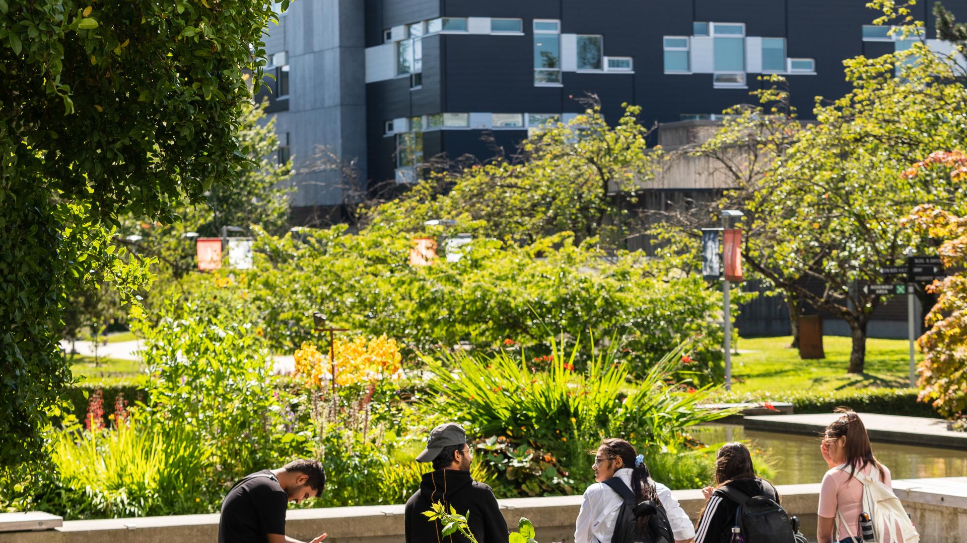 University transfer at Langara
