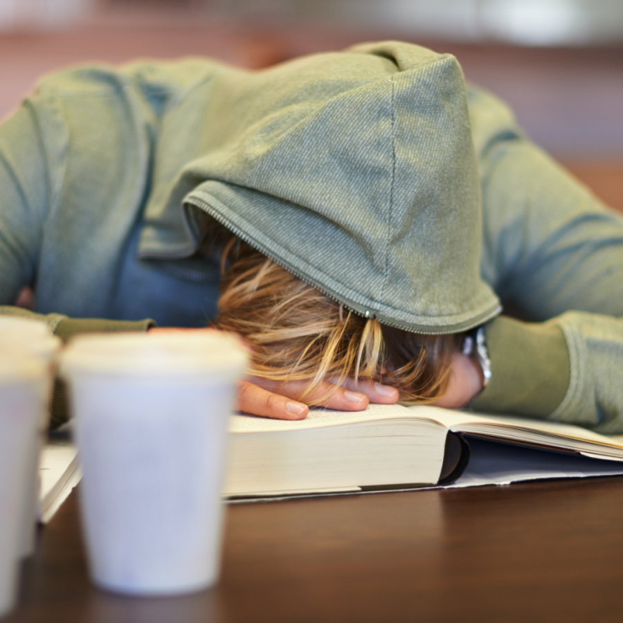 Student asleep while studying.