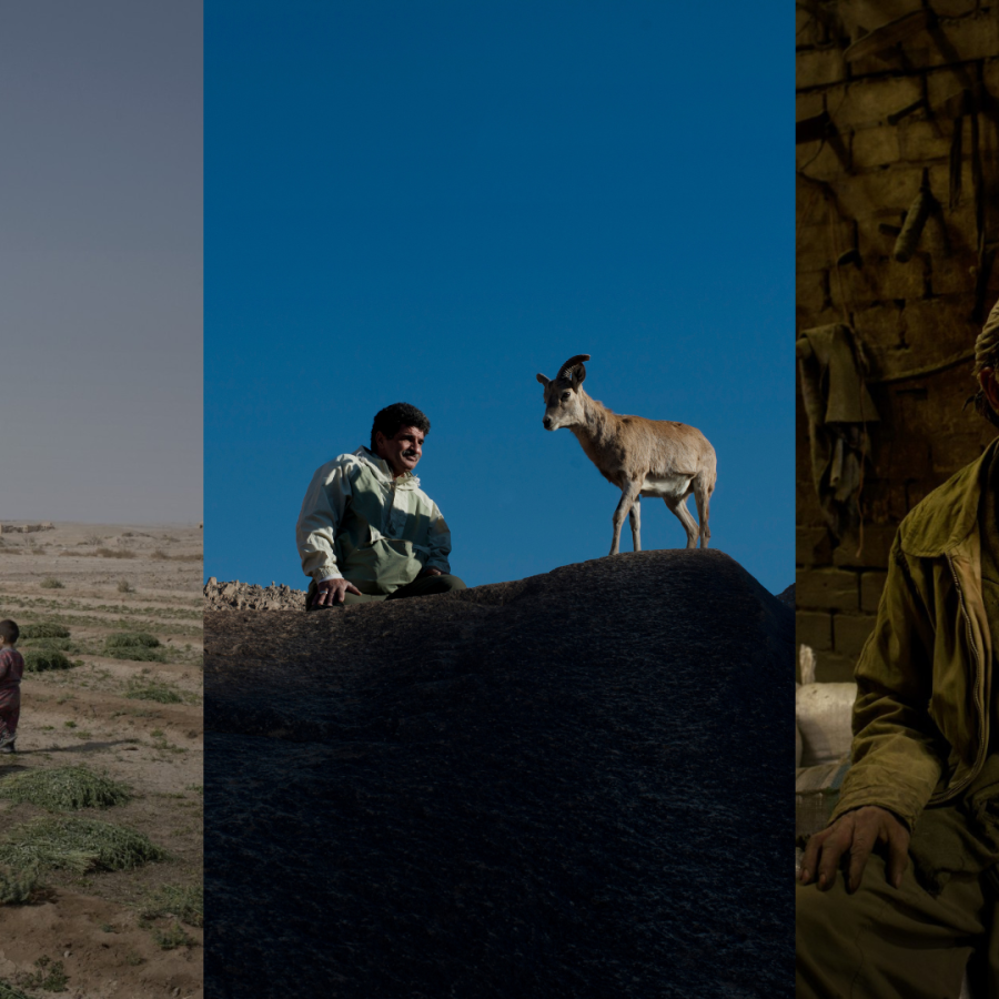 A triplicate of photos taken by Marjan Yazdi. From left to right: a man tends to crops in the desert accompanied by his young child. A man watches over a horned animal on a desert ridge. A lone man stares pensively while sitting atop a mound of bags.