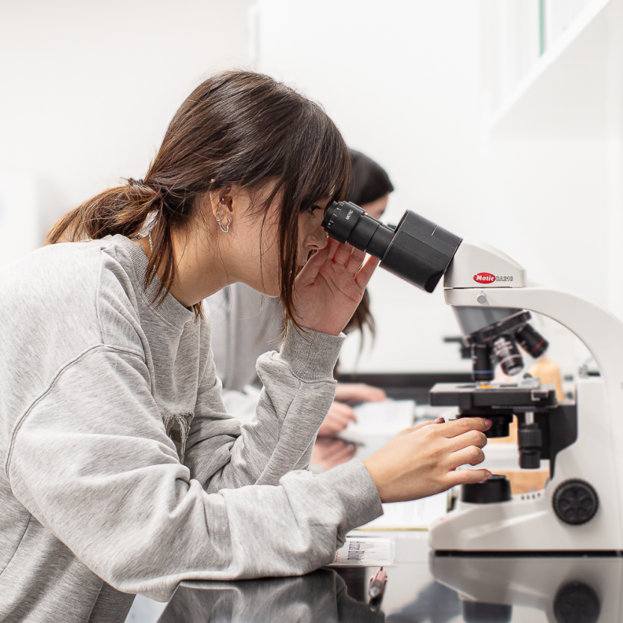 Asian Biology student looking into a microscope in the biology laboratory.