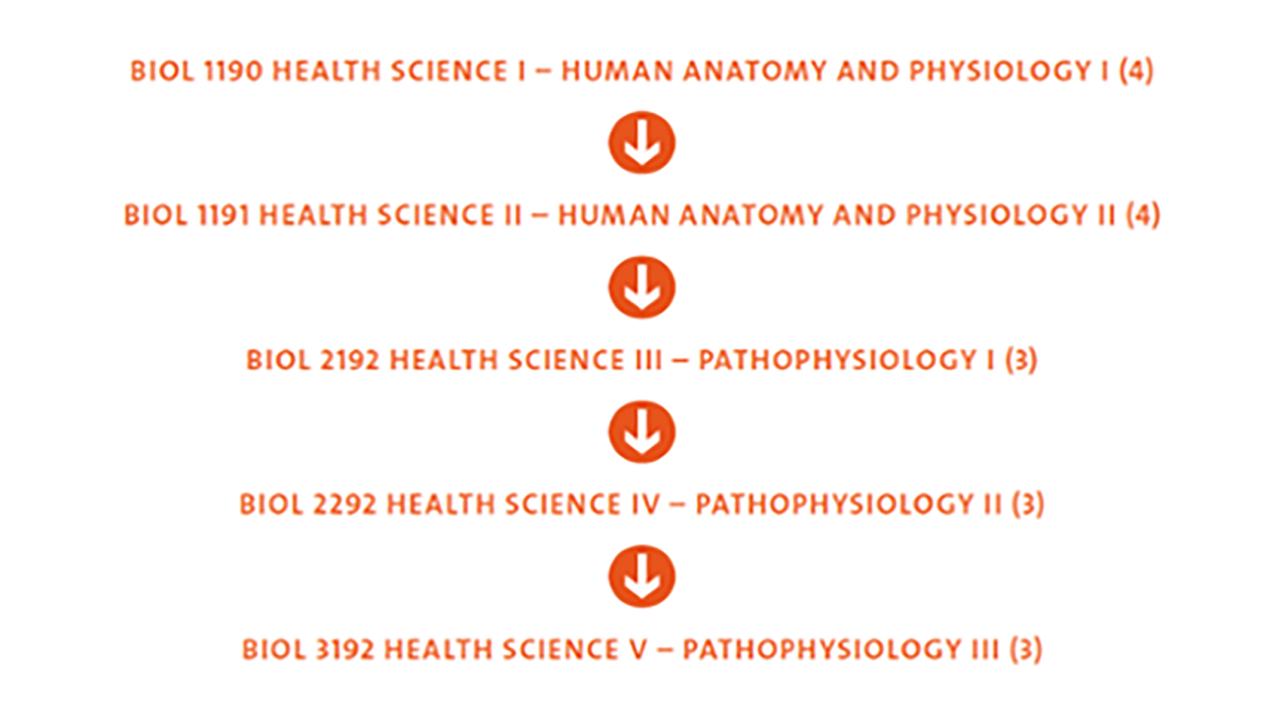 	Biology students applying for the Nursing program can take BIOL 1190, BIOL 1191, BIOL 2192, BIOL 2292 and BIOL 3192.