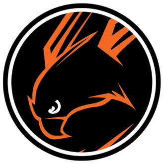 Placeholder Falcons logo