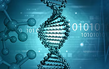 DNA