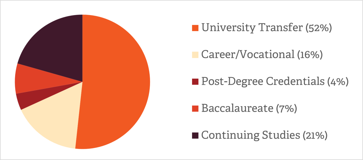 Students by Program Type