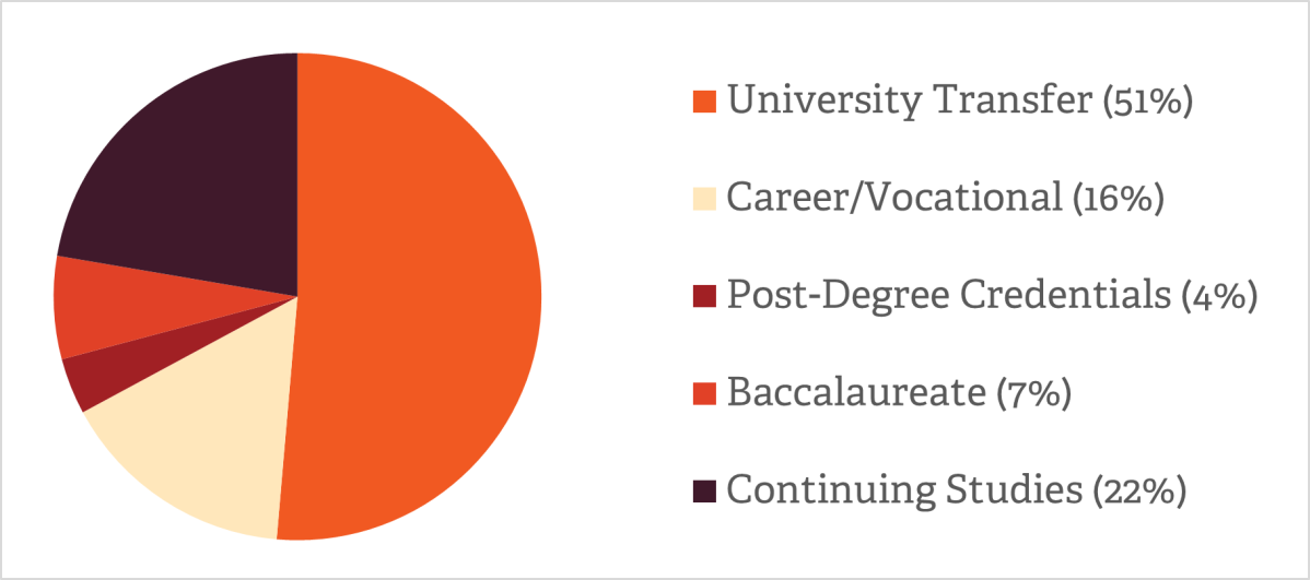 pie shart showing students by program type