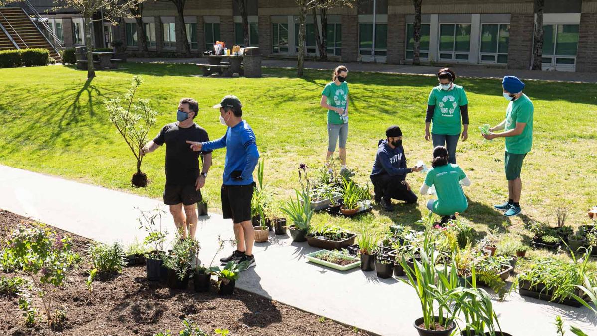 Students contribute to the pollinator garden by planting native species