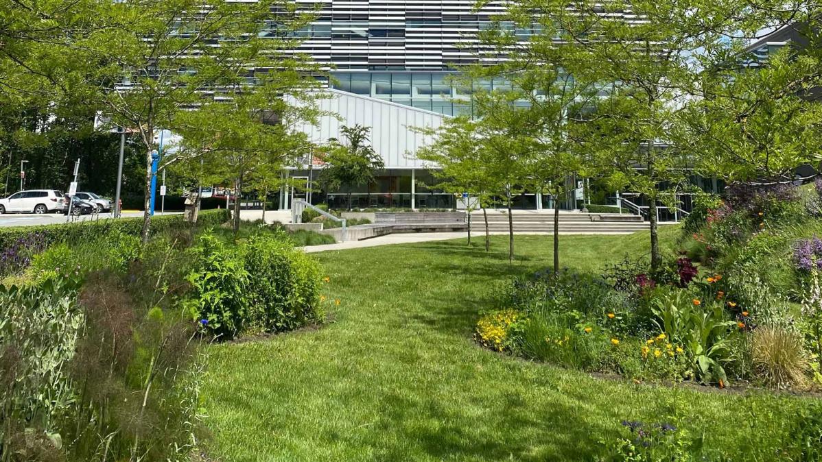 Plants thriving behind T Building.