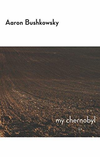 cover image of My Chernobyl