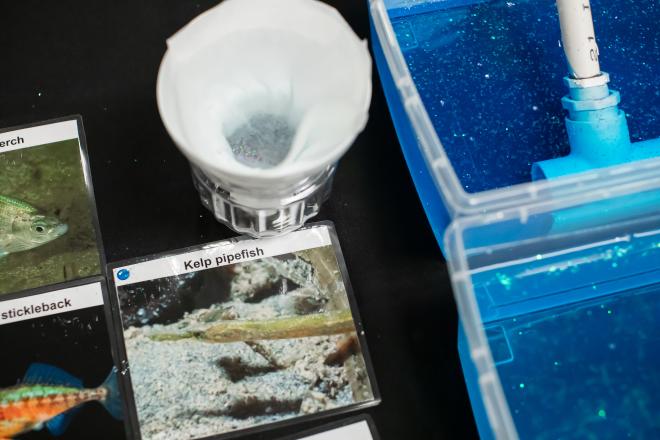 Presentation materials for the False Creek biodiversity research project at Applied Research Day.