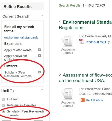 Scholarly articles filter checkbox