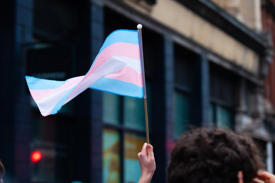 Transgender flag