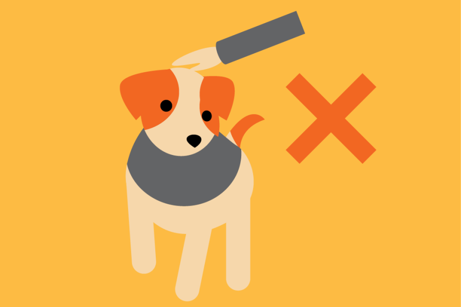 Don't pet the dog