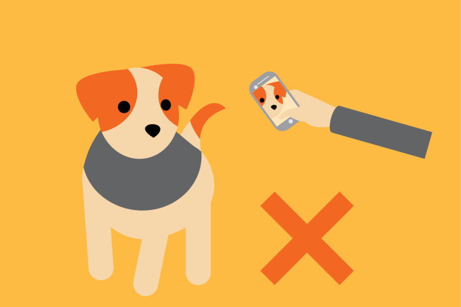 Don't photograph or video record