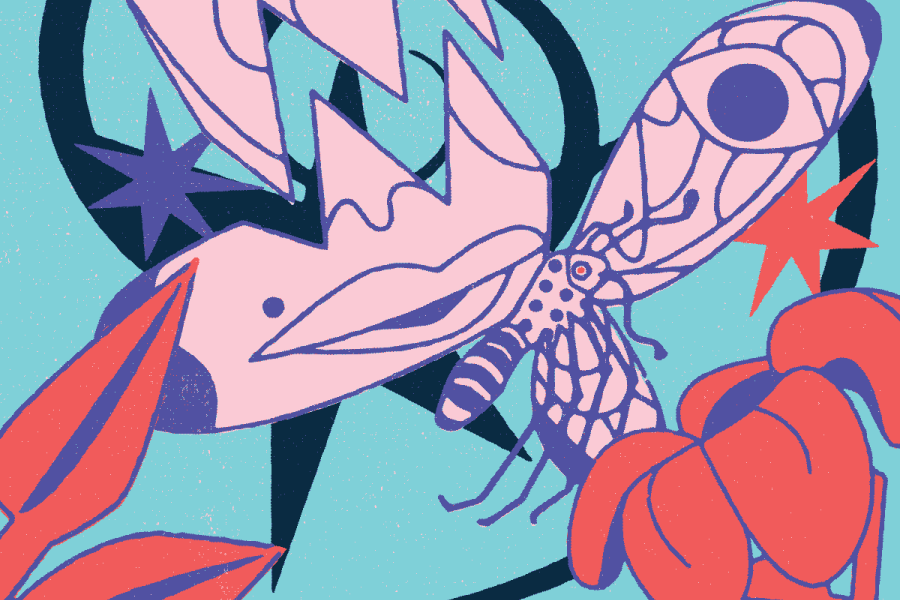A graphic of overlapping drawings of bugs, stars and flowers. Below reads "Chaos February 4-14, 2027".