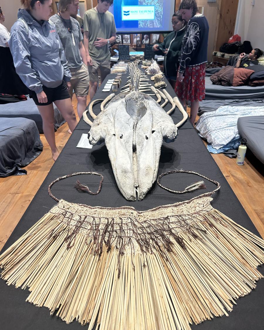 Māori items displayed on table.